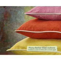 15ins 19ins and 22ins Scatter Cushions Contrast Piped in House Cotton Vanilla