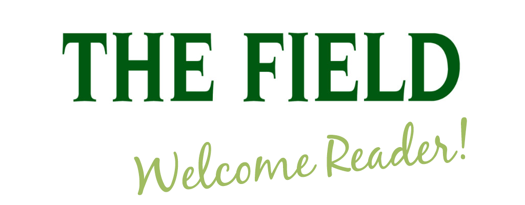 The Field Classified Banner THW